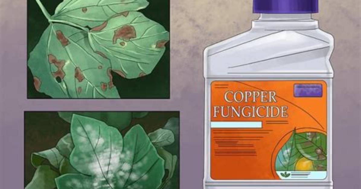 How Do Fungicides Work