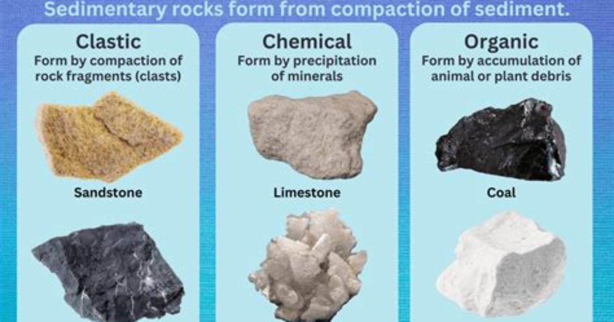 How Do Geologists Classify Sedimentary Rocks