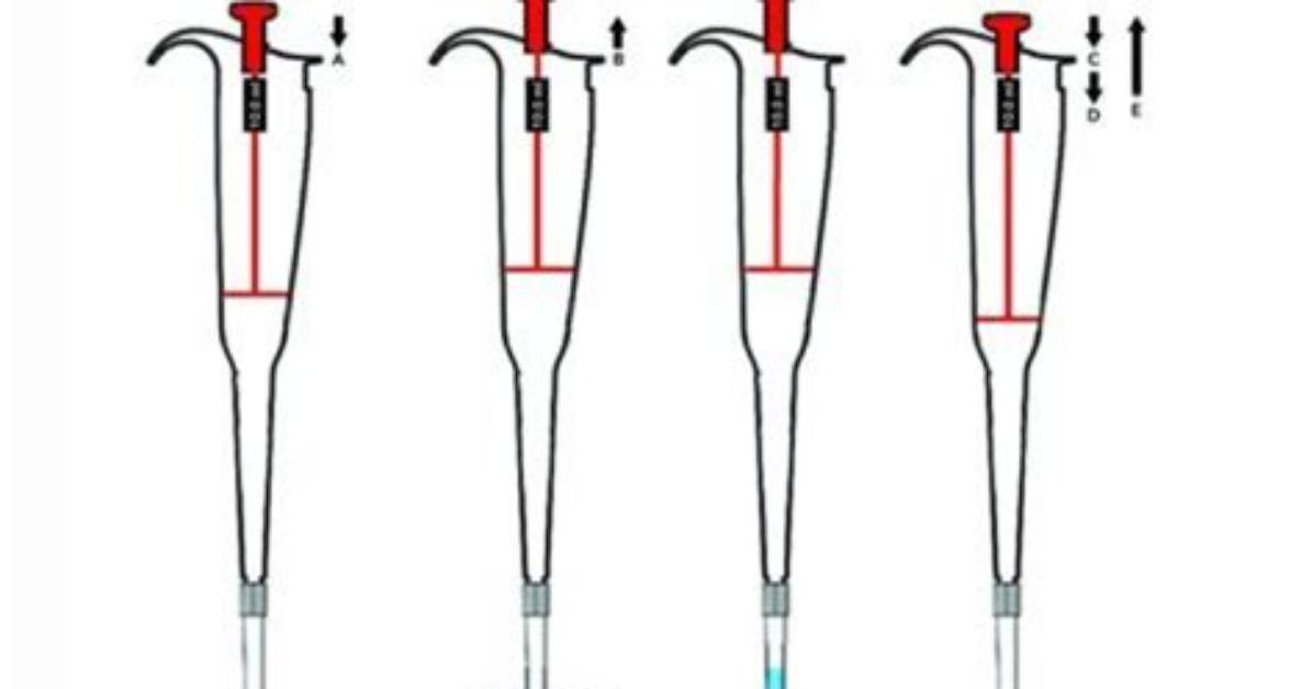 How Do Glass Pipettes Work