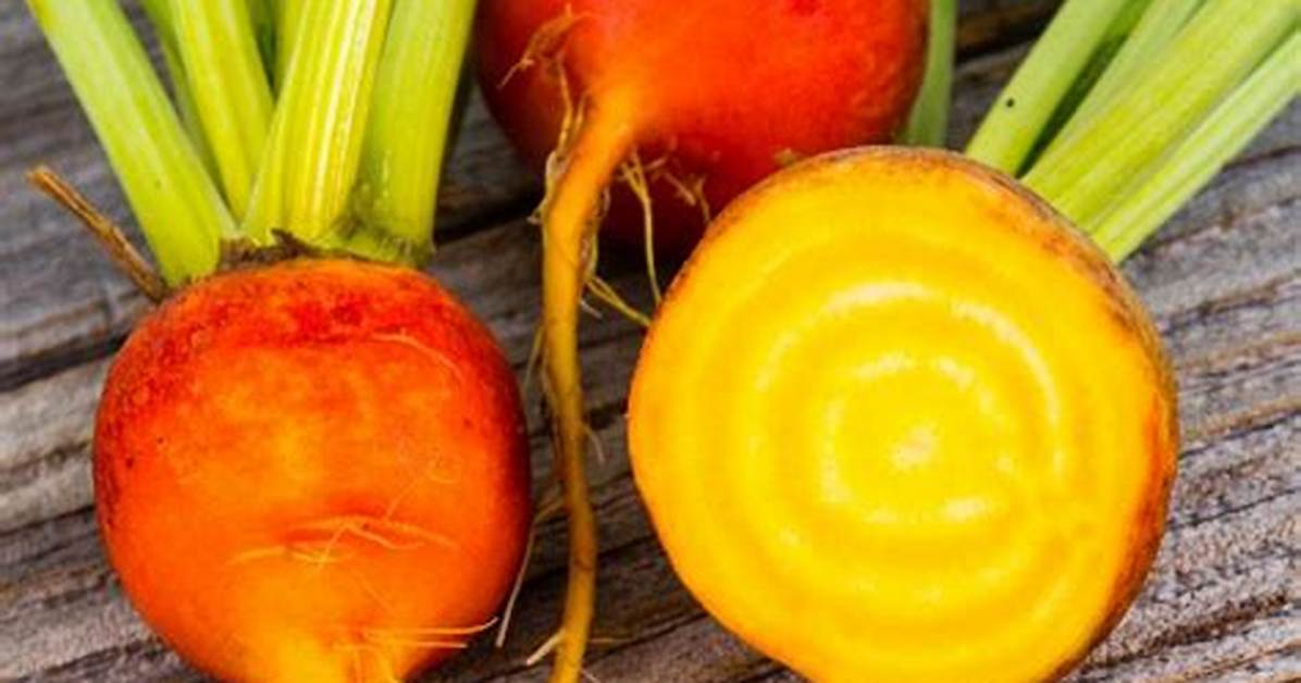 How Do Golden Beets Grow