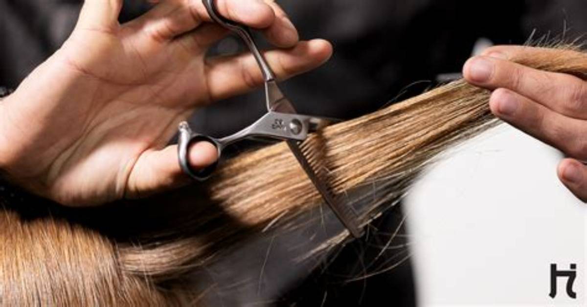 How Do Hair Shears Work