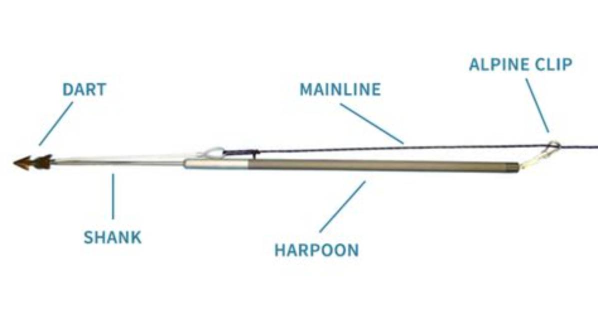 How Do Harpoons Work?
