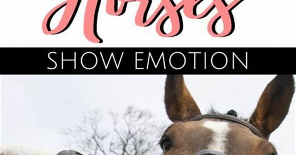 How Do Horses Show Sadness?
