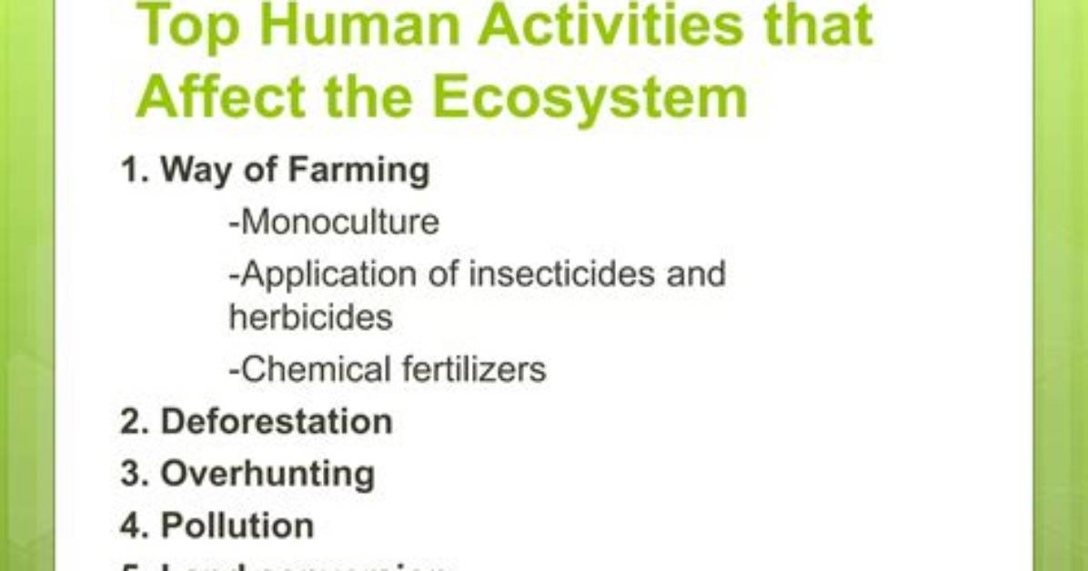 How Do Human Activities Affect the Ecosystem