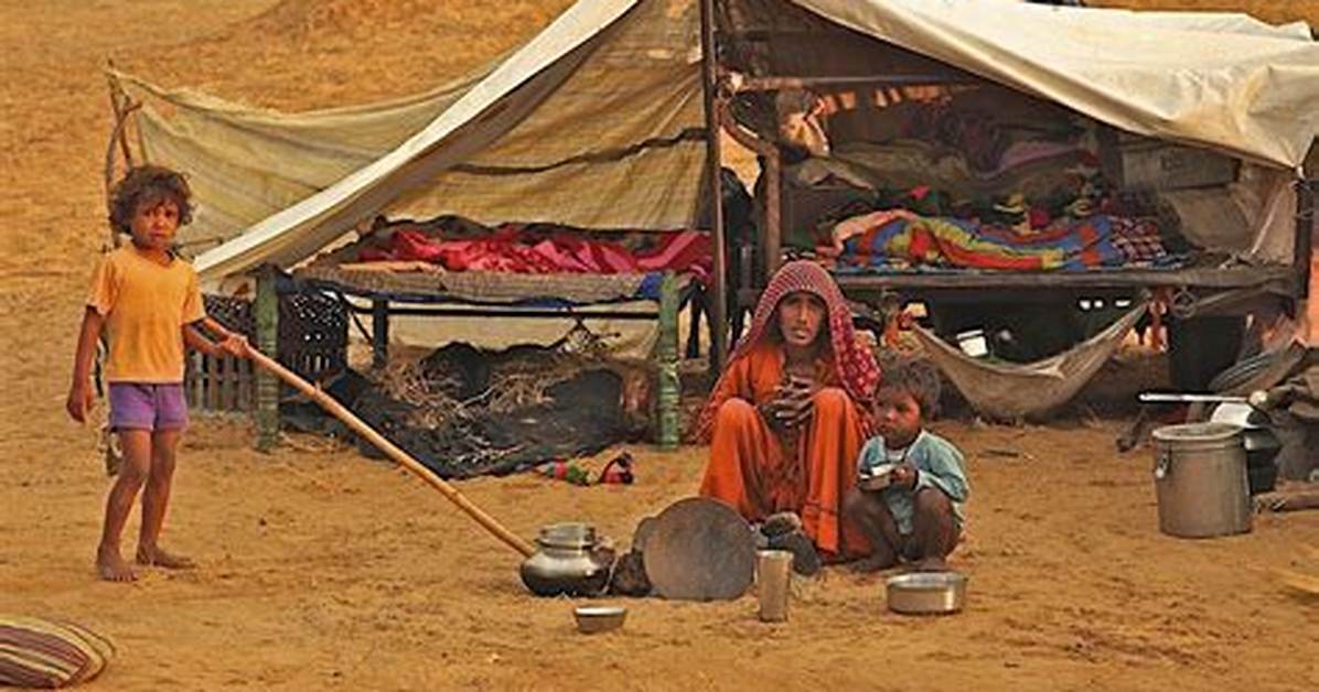 How Do Humans Survive in the Desert?