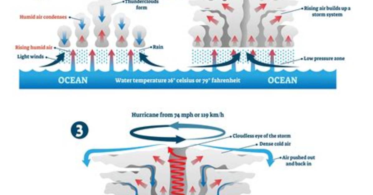 How Do Hurricanes Form Step by Step?