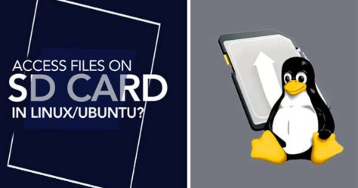 How Do I Access Files on Linux Mac?