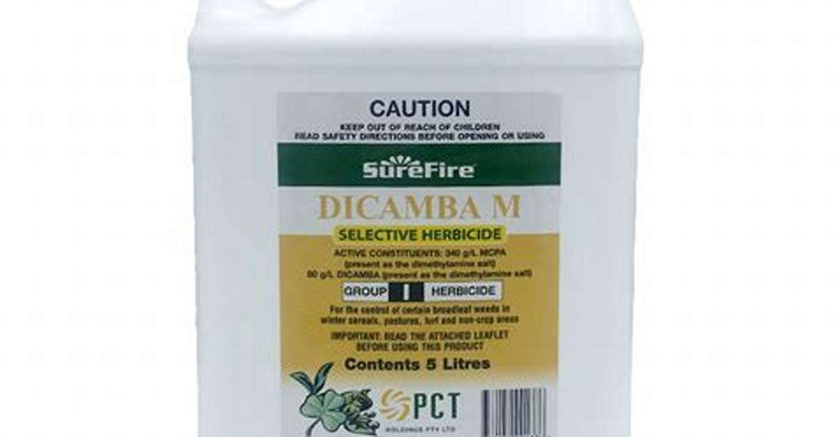 How Do I Apply for Dicamba