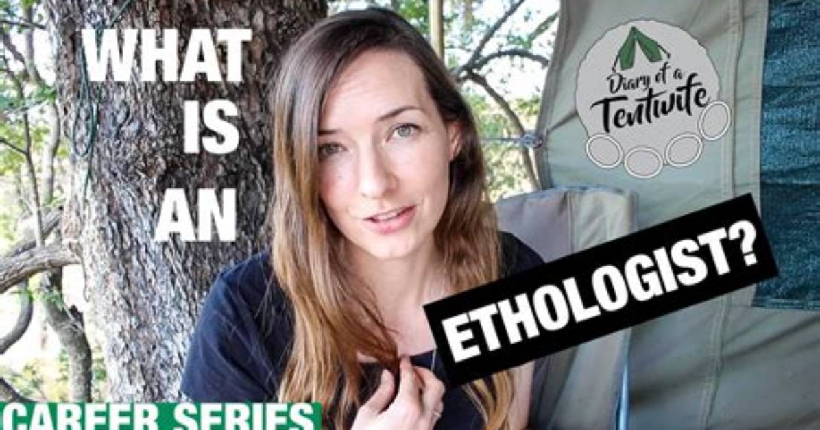 How Do I Become an Ethologist?