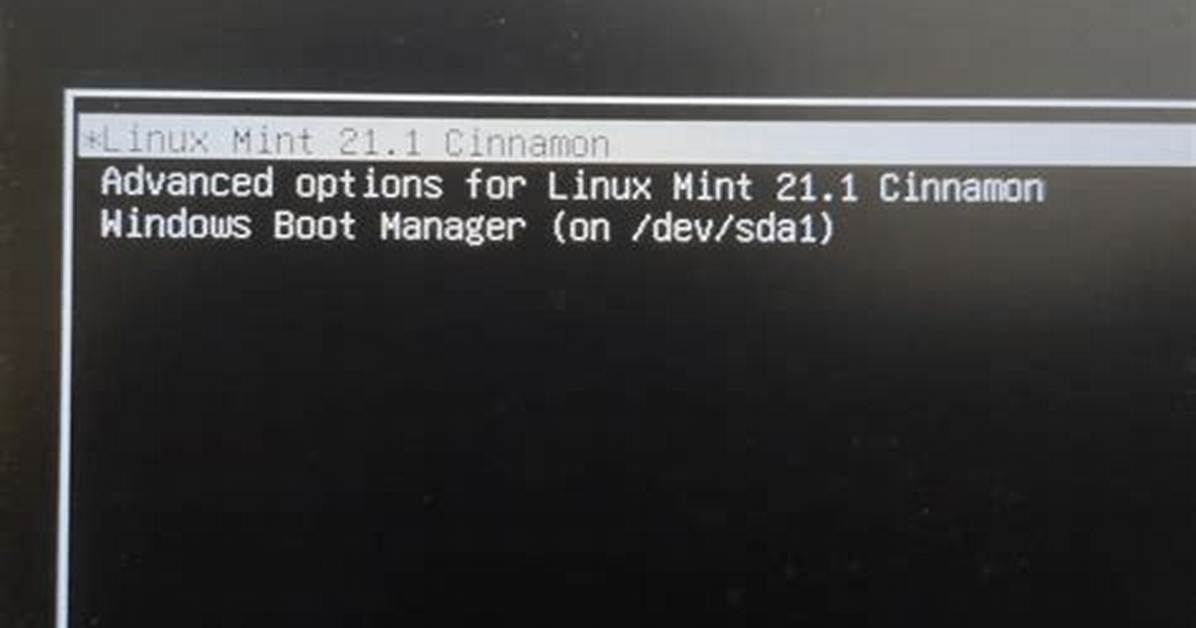 How Do I Boot Linux Mint?