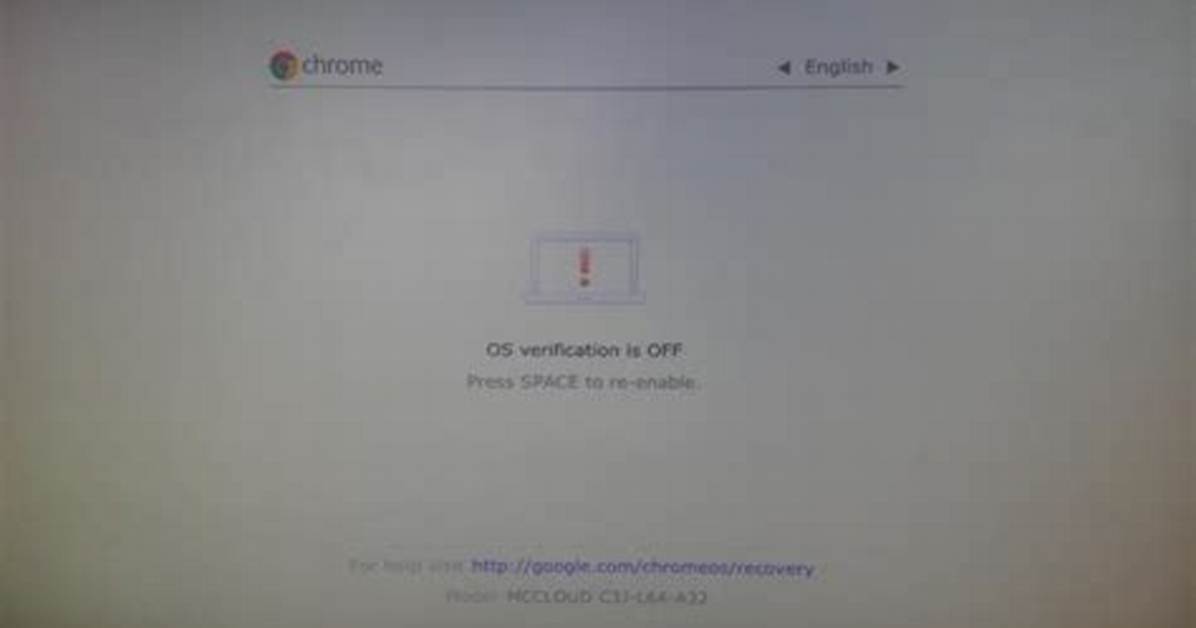 How Do I Bypass Chrome Os?