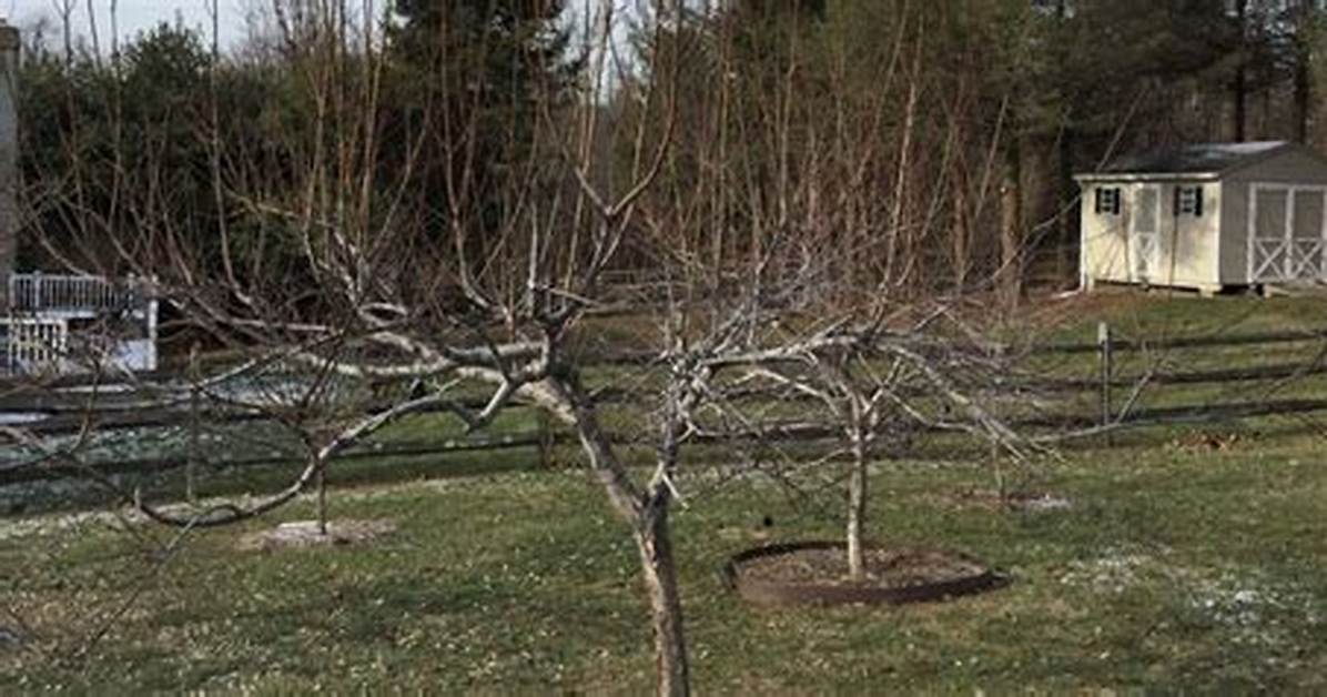 How Do I Change Branches