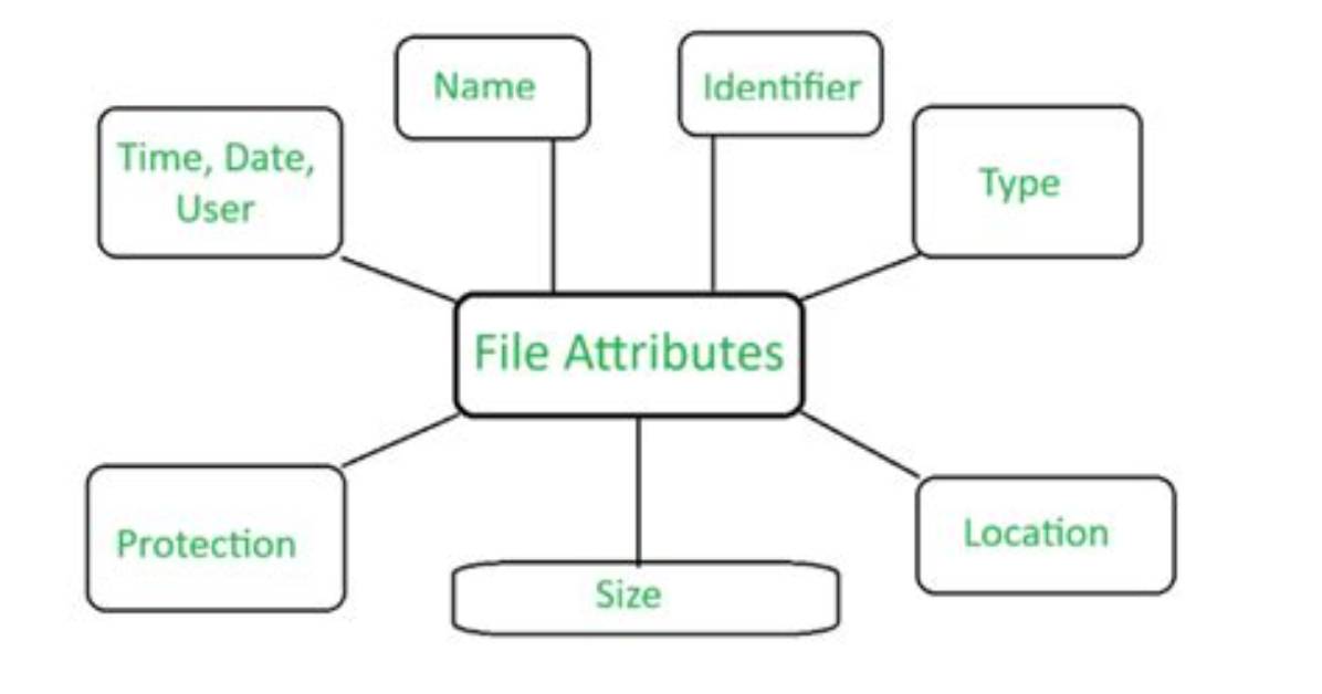 How Do I Change File Attributes in Windows 7?
