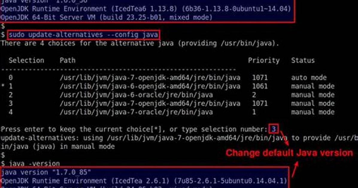 How Do I Change the Default Java Path in Linux?