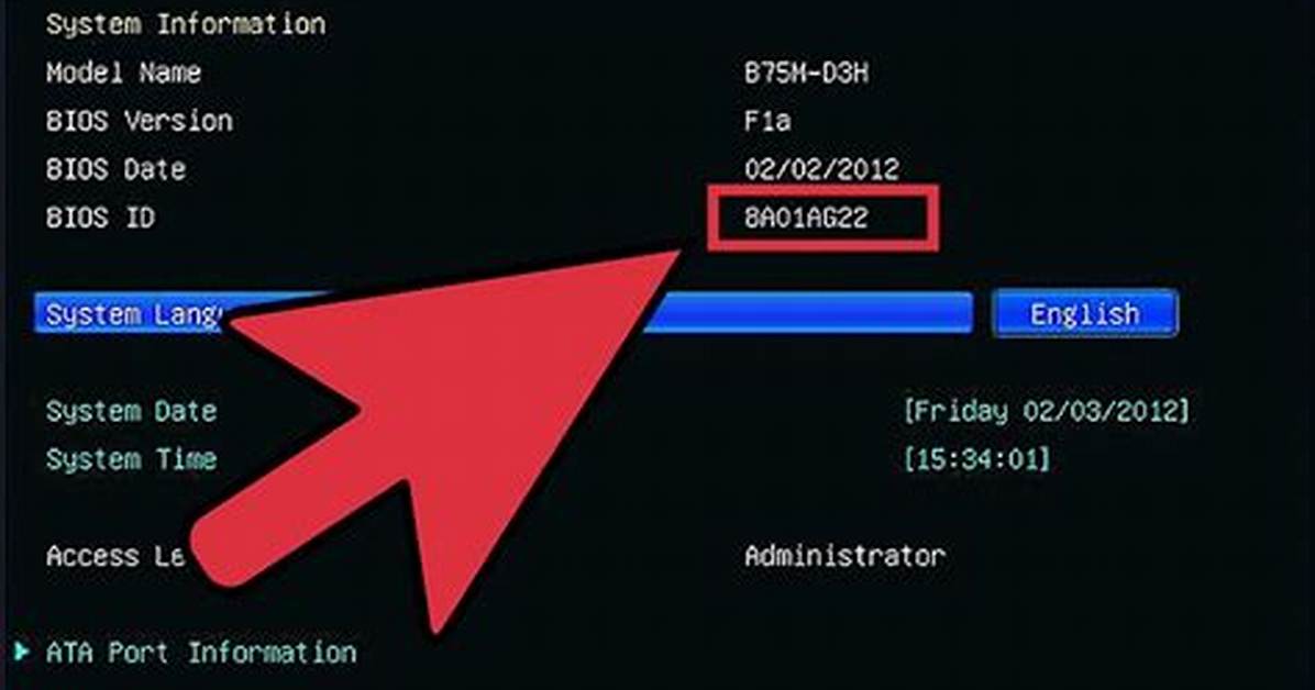 How Do I Check for Bios Driver Updates?