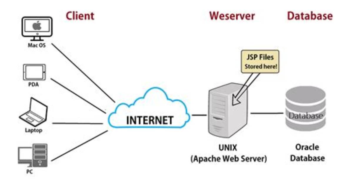 How Do I Check If a Webserver Is Running on Linux?