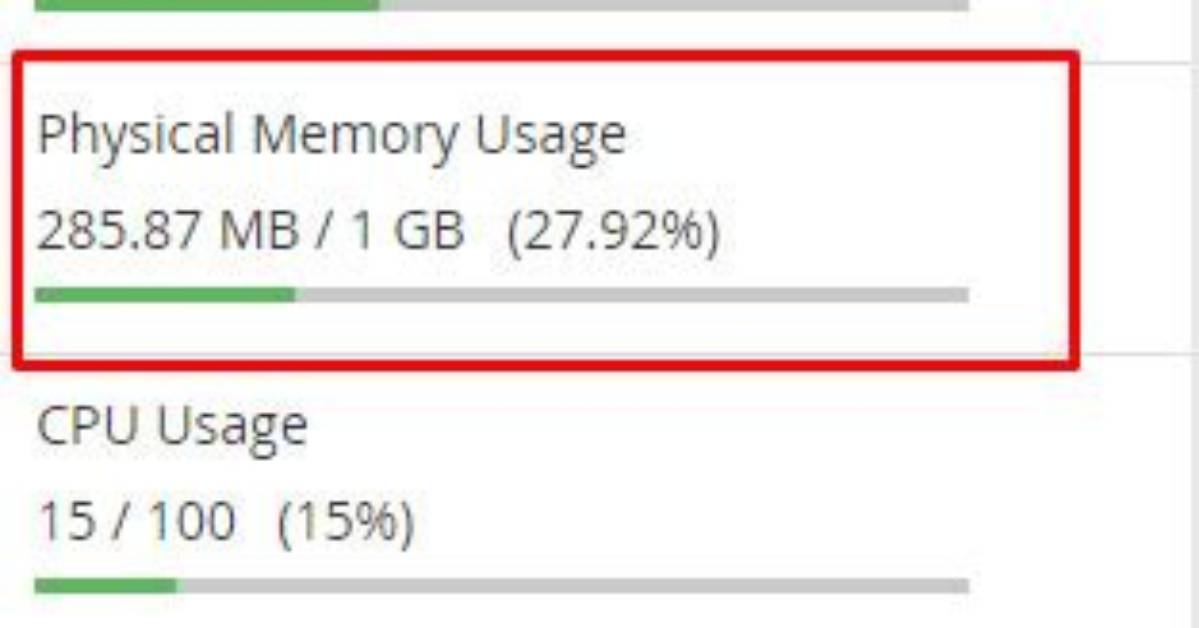 How Do I Check My Physical Memory on Windows Server?