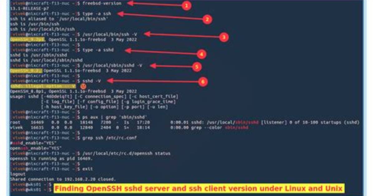 How Do I Check My Unix Server History?