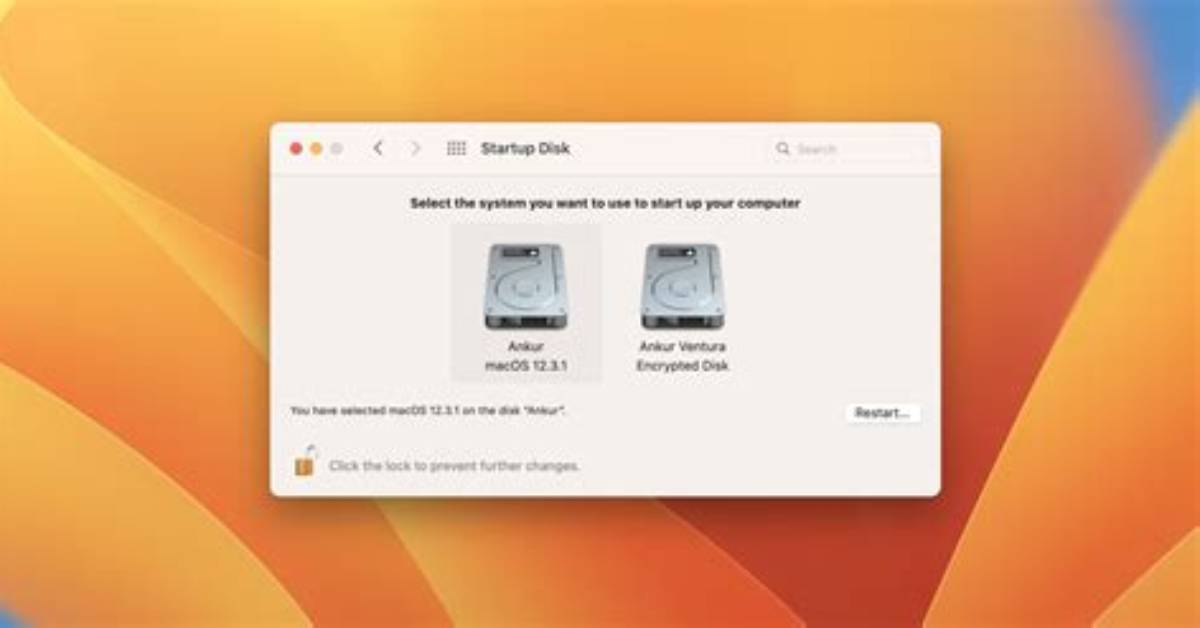 How Do I Choose My Startup Disk Mac Os X?
