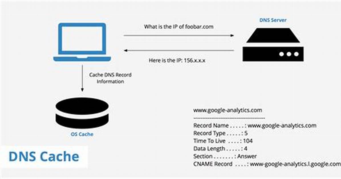 How Do I Clear Dns Cache on Android?