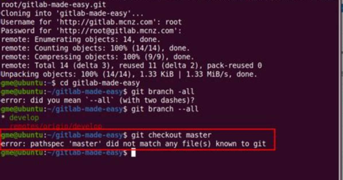 How Do I Clone a Specific Git Branch? [Duplicate]