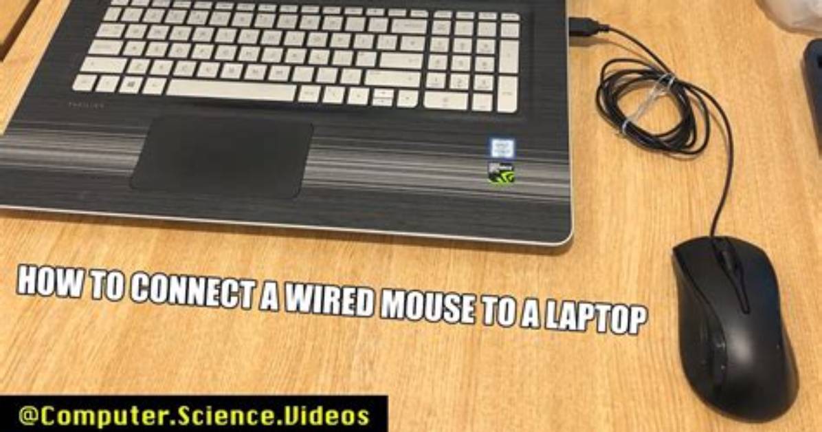 How Do I Connect My Wired Mouse to My Android?