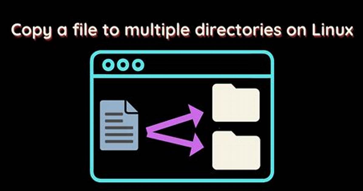How Do I Copy Multiple Directories in Linux?