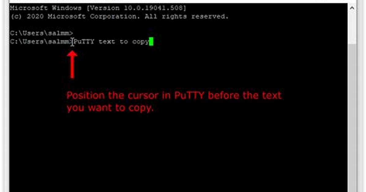 How Do I Copy Text in Putty in Linux?