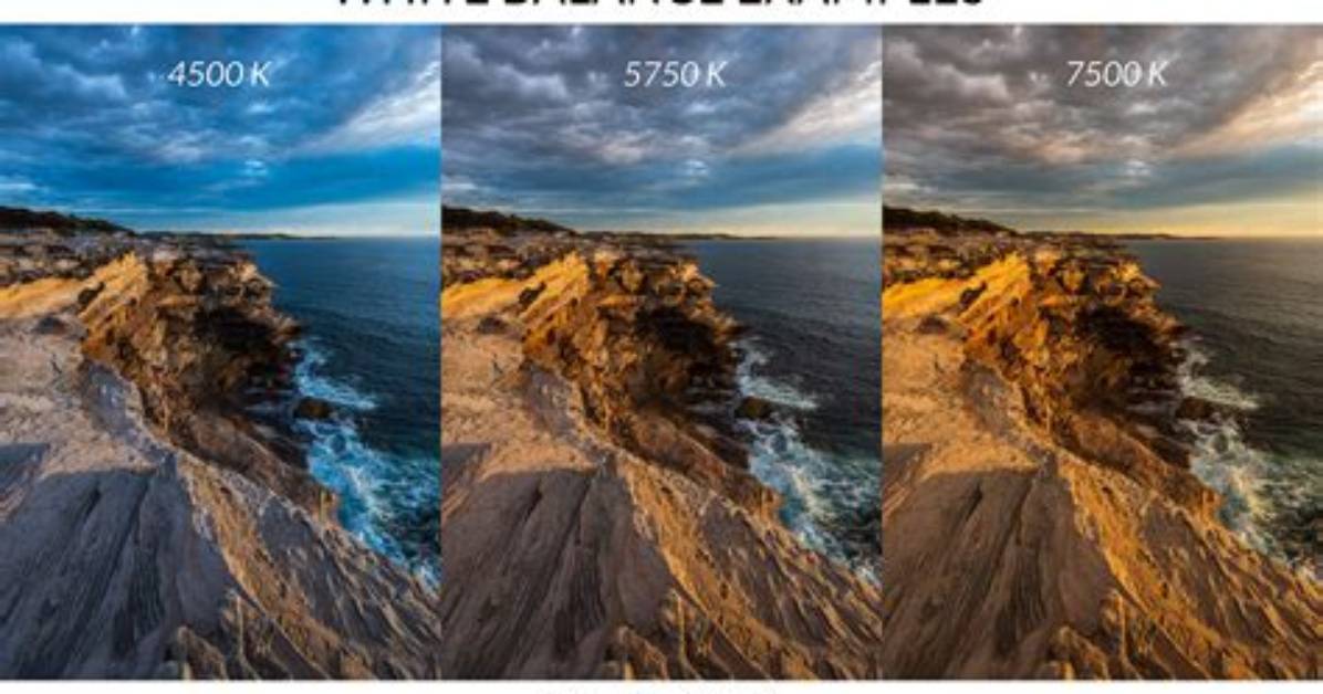 How Do I Correct White Balance in Lightroom?