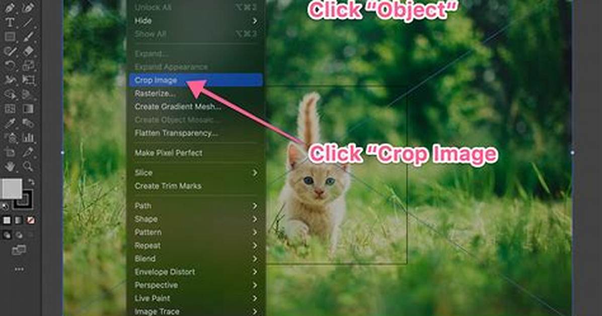 How Do I Crop a Jpeg Image?