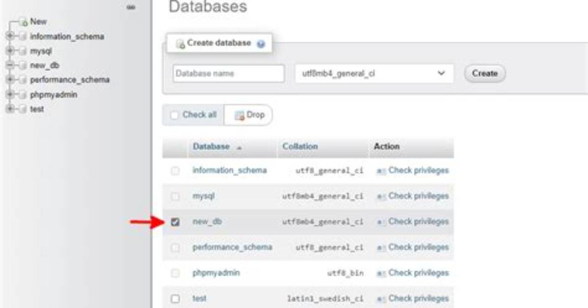 How Do I Delete a Database in Mongodb