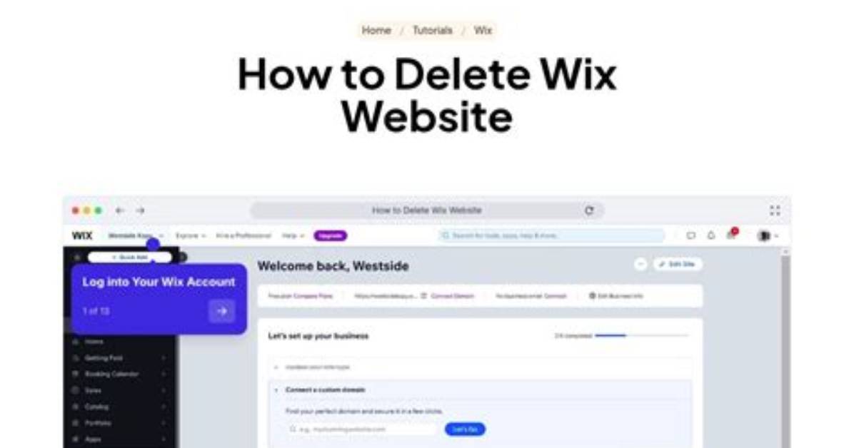 How Do I Delete a Wix Url?