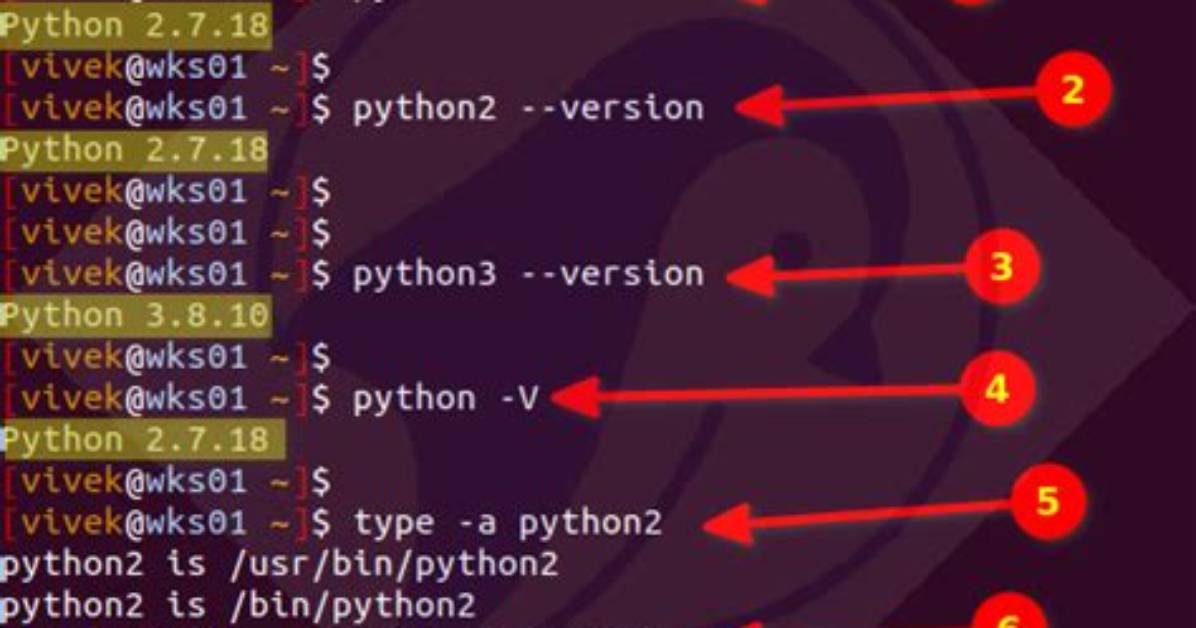 How Do I Determine If My Python Shell Is Executing in 32Bit or 64Bit?
