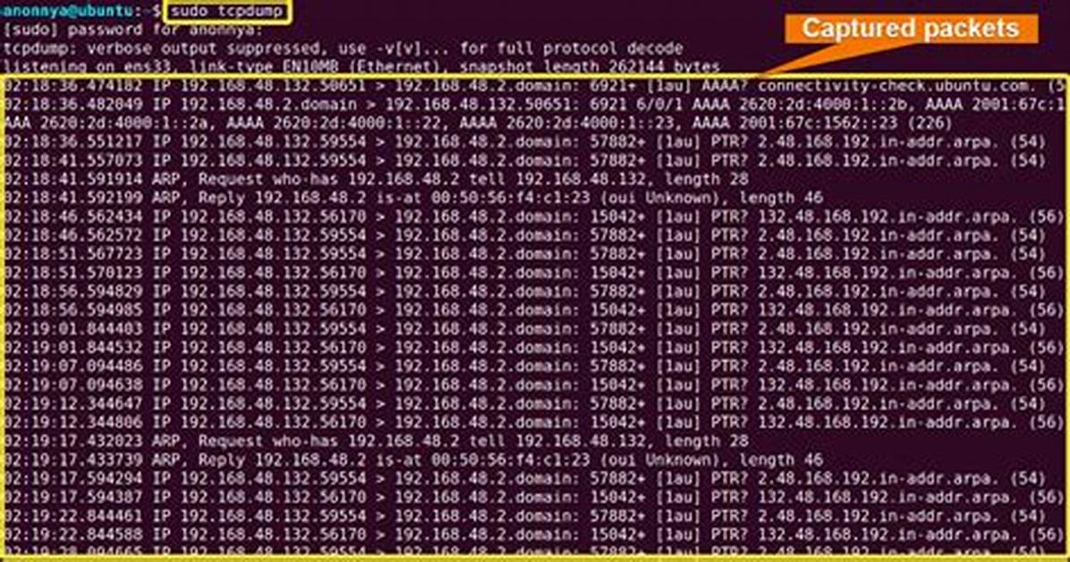 How Do I Download Tcpdump in Linux?