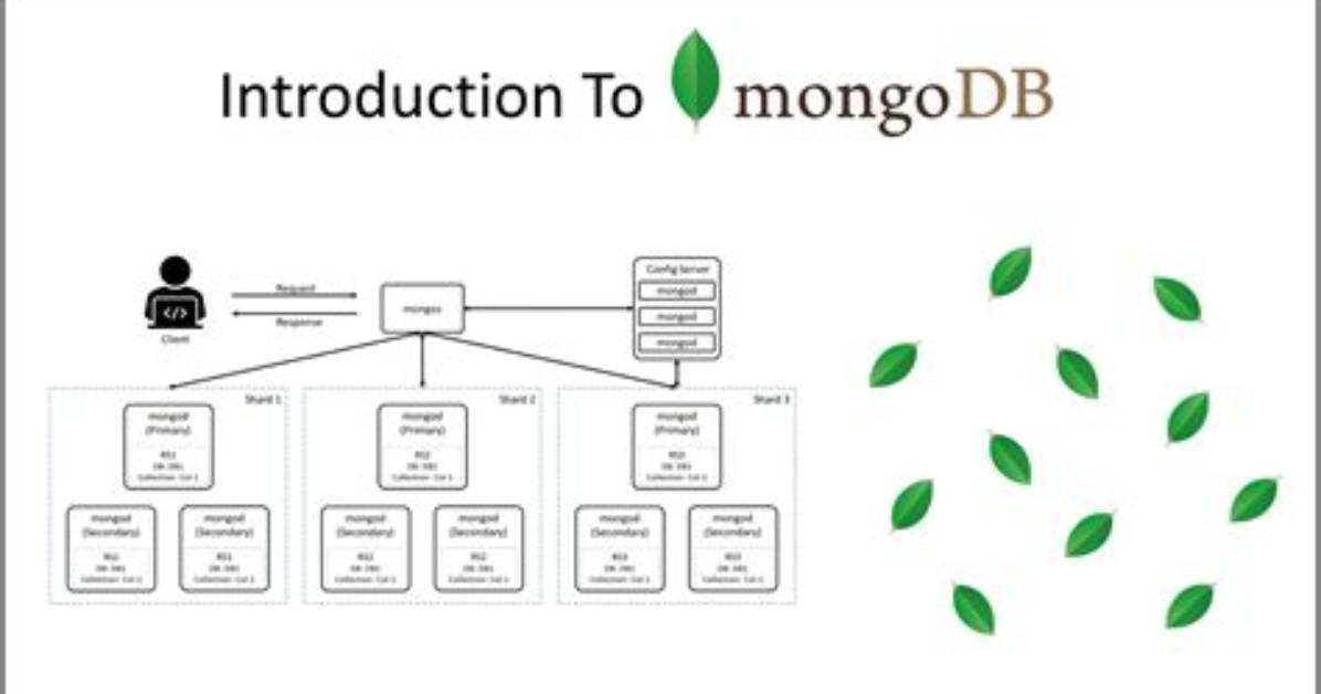 How Do I Drop a Mongodb Database from the Command Line?