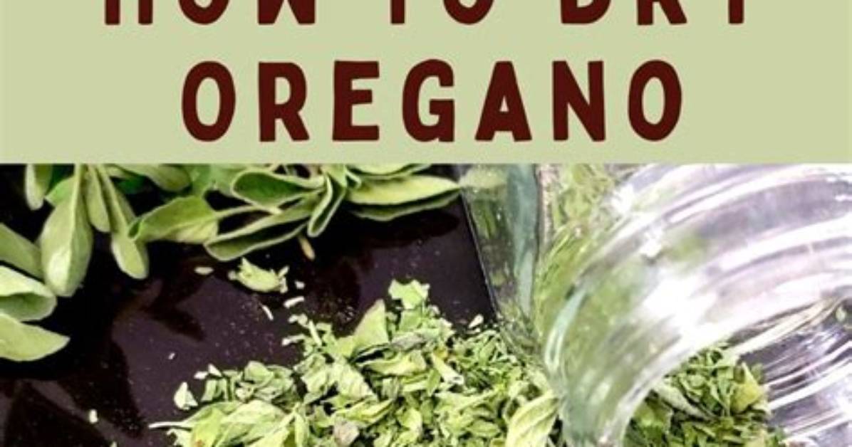 How Do I Dry Oregano