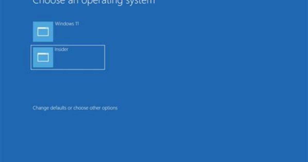 How Do I Dual Boot Windows and Linux Mint?
