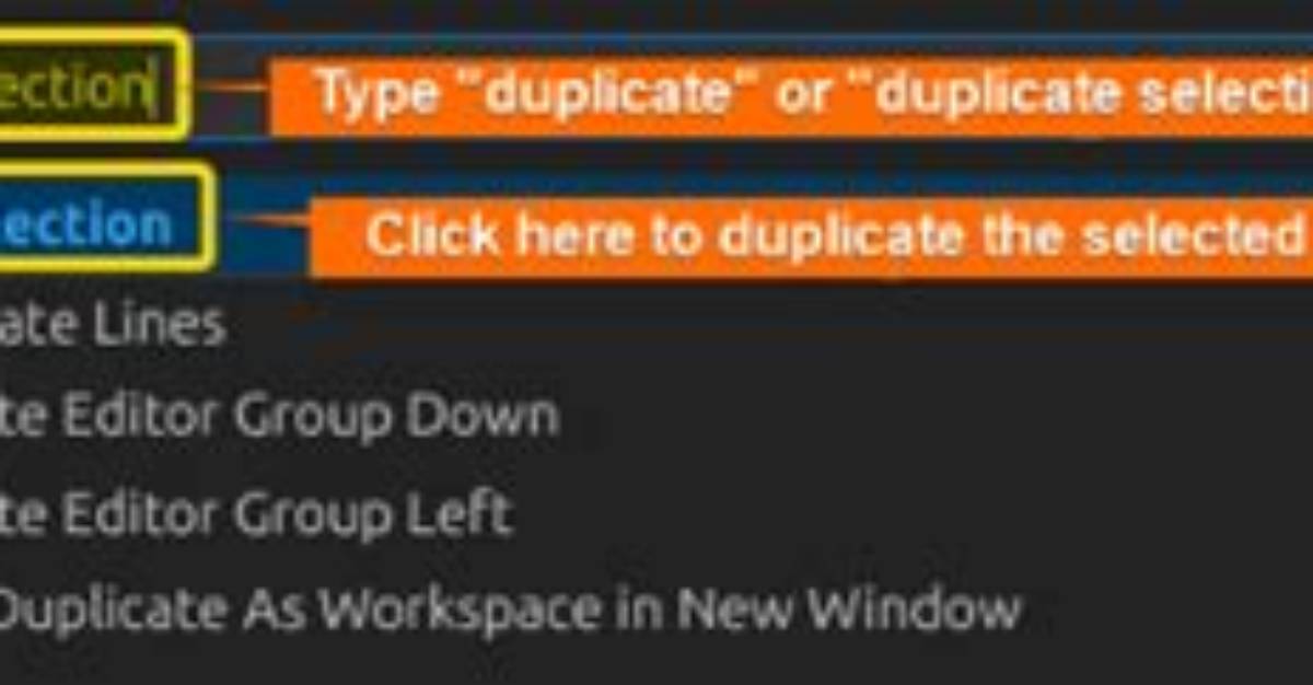 How Do I Duplicate a Selection in Krita?