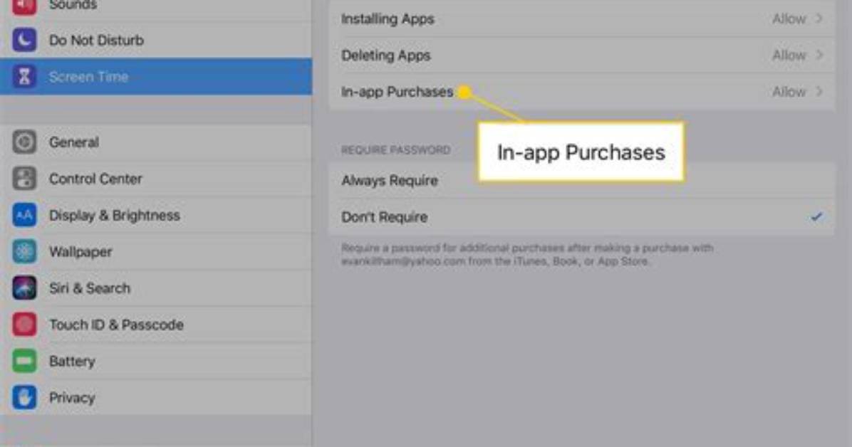 How Do I Enable in App Purchases iOS 13?