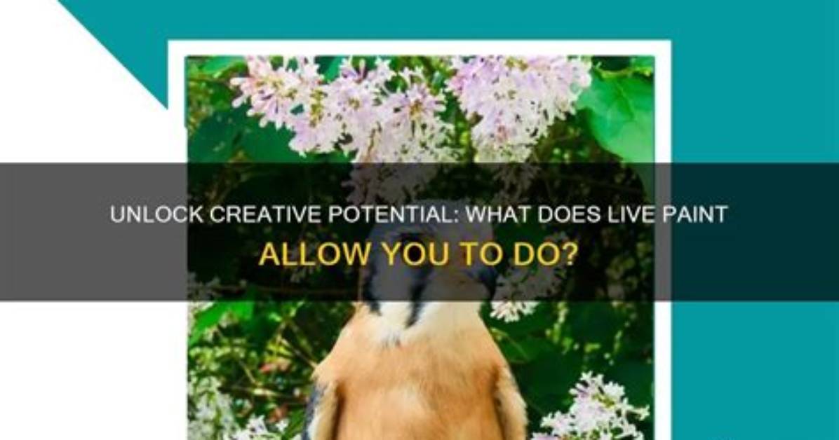 How Do I Enable Live Paint in Illustrator?