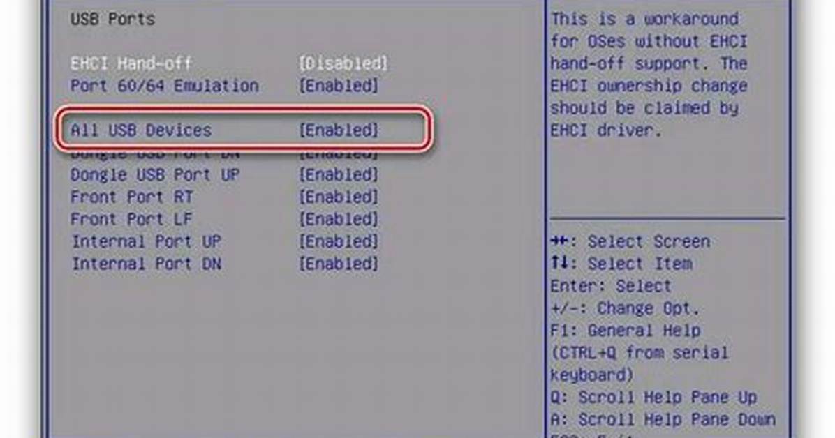 How Do I Enable Usb Support in Bios?