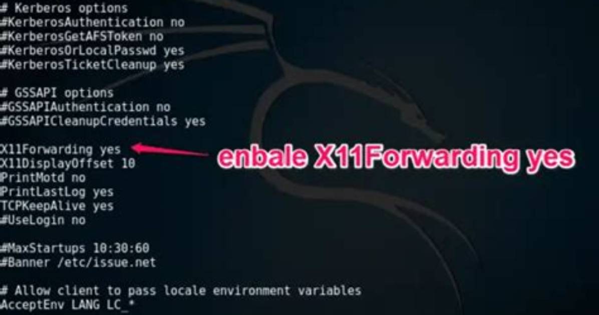 How Do I Enable X11 on Linux?
