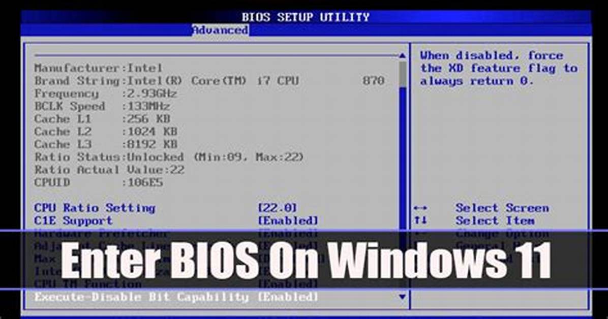 How Do I Enter Bios on Windows 7 Hp?