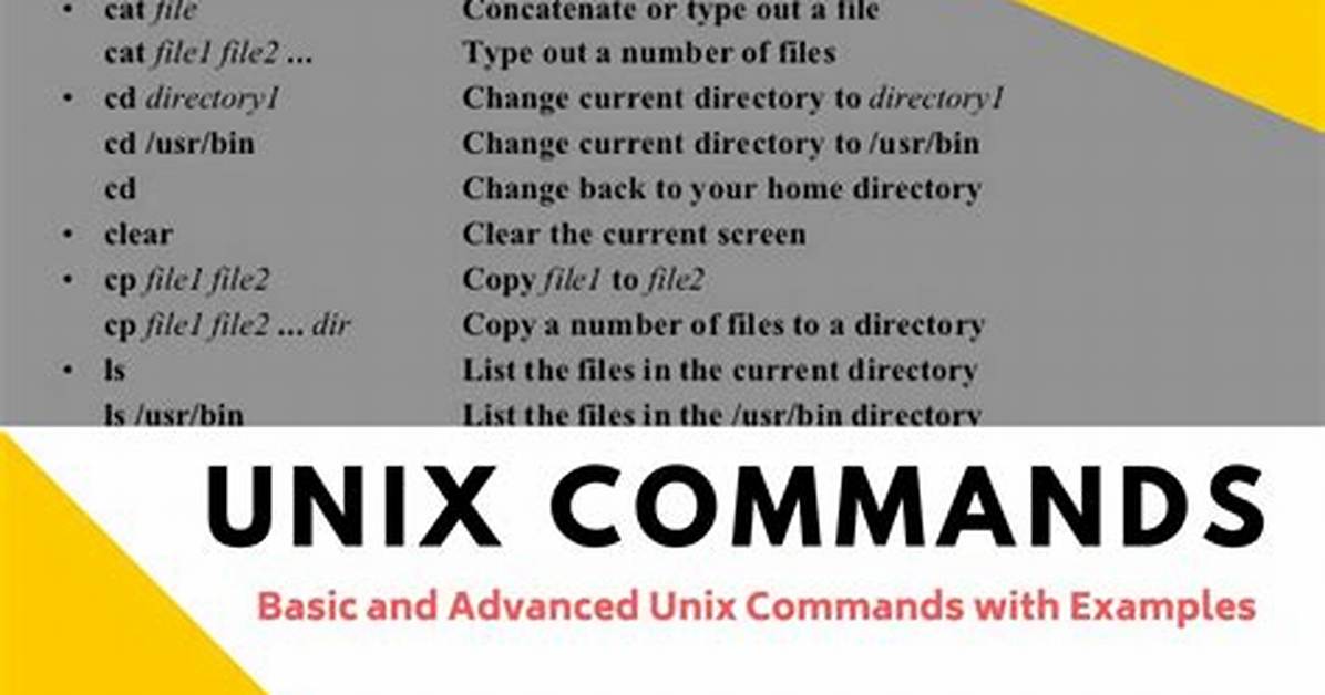 How Do I Execute a Unix Command?