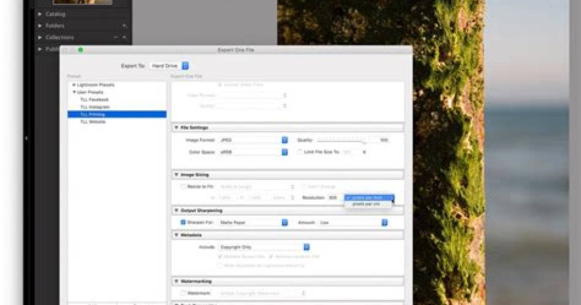How Do I Export from Lightroom Online?