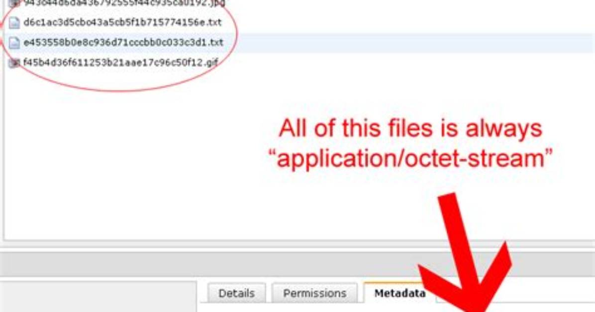How Do I Find Application Octet Stream