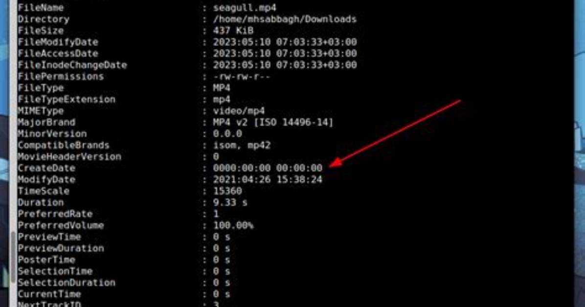 How Do I Find Metadata in Linux?