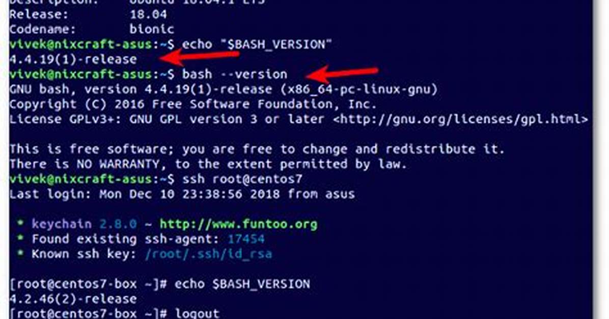 How Do I Find My Bash Version Ubuntu?