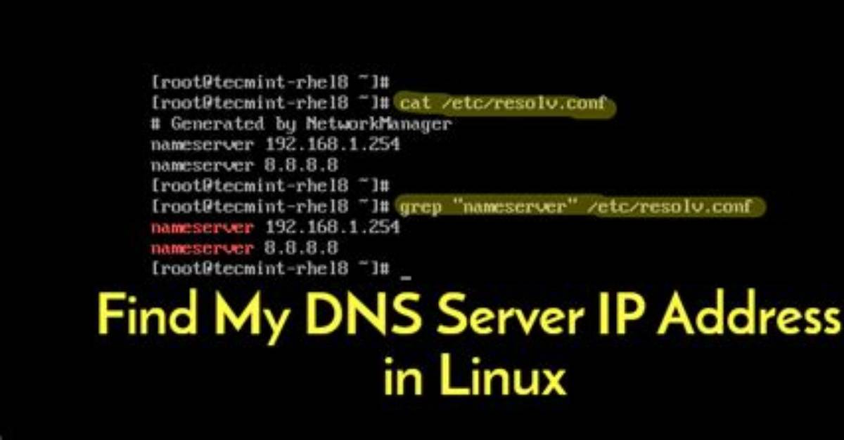 How Do I Find My Dns Linux?