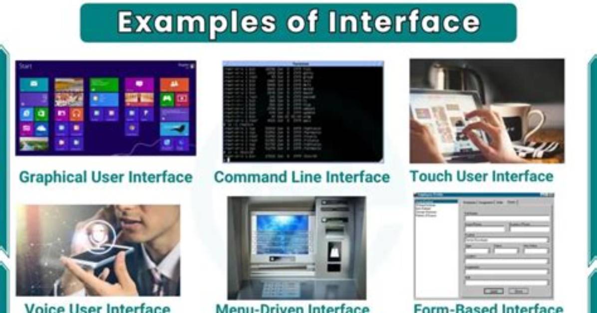 How Do I Find My Interface Name in Ubuntu?